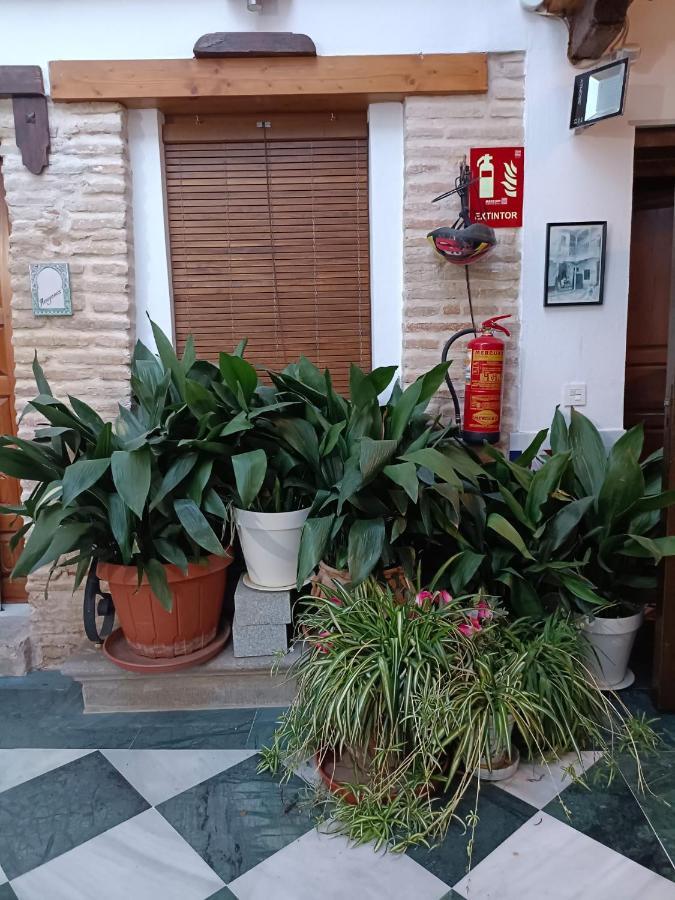 Apartamento Patio De Los Leones Granada Dış mekan fotoğraf